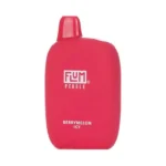 Flum Pebble Berrymelon Icy Disposable 6000 Puffs