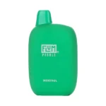 Flum Pebble Menthol Disposable 6000 Puffs