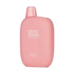 Flum Pebble Peach Orange Disposable 6000 Puffs